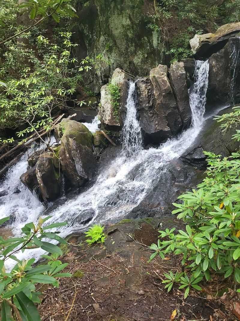 Long Creek Falls