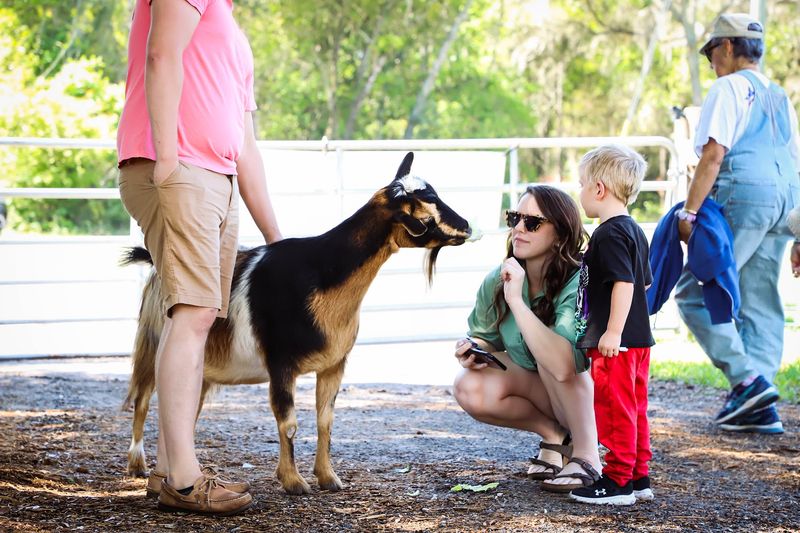 Rooterville Animal Sanctuary