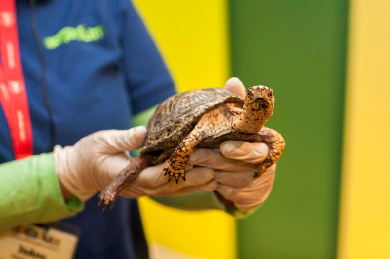 The Best Reason to Choose EcoTarium in Worcester