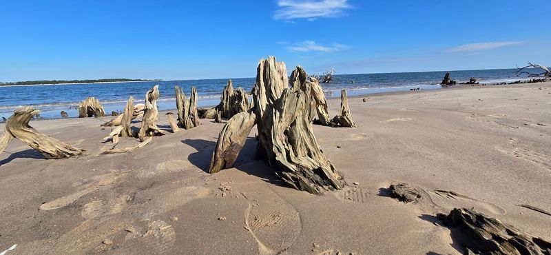 Big Talbot Island: Dramatic Landscapes and Solitude