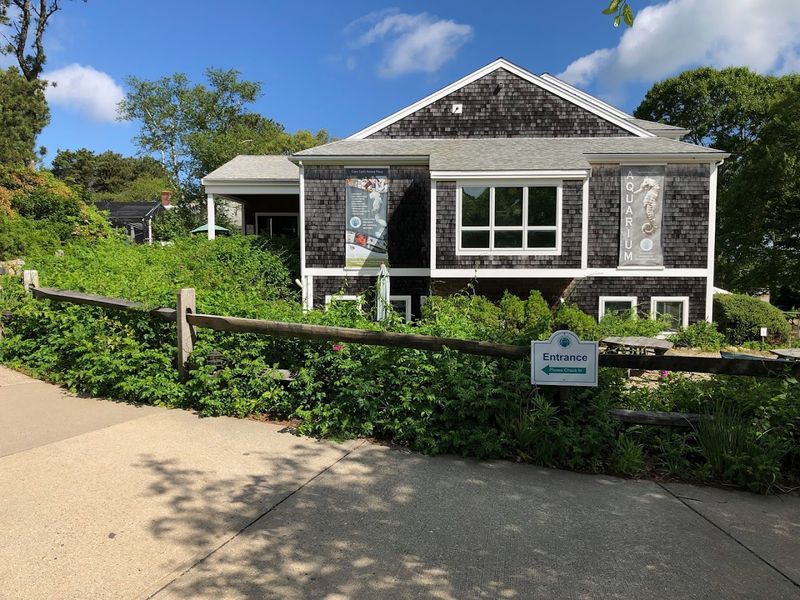 Cape Cod Museum Of Natural History