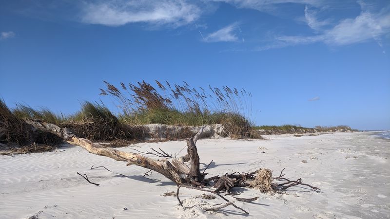 East Beach, Glynn County