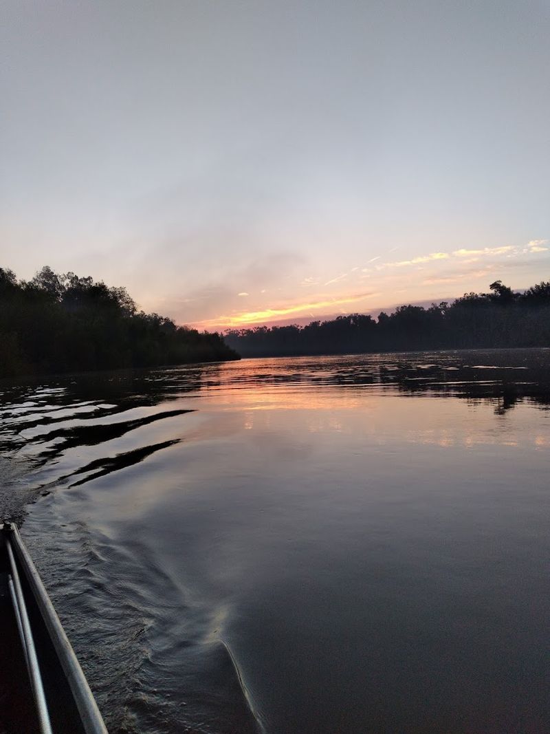 Apalachicola River (Panhandle)