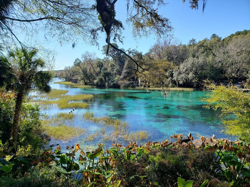 Rainbow Springs State Park, Marion County