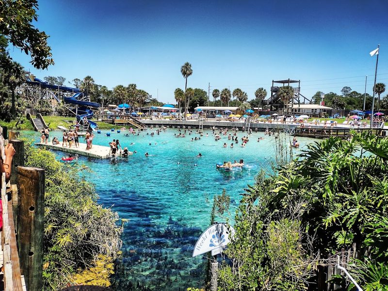 Weeki Wachee Springs State Park (Weeki Wachee)