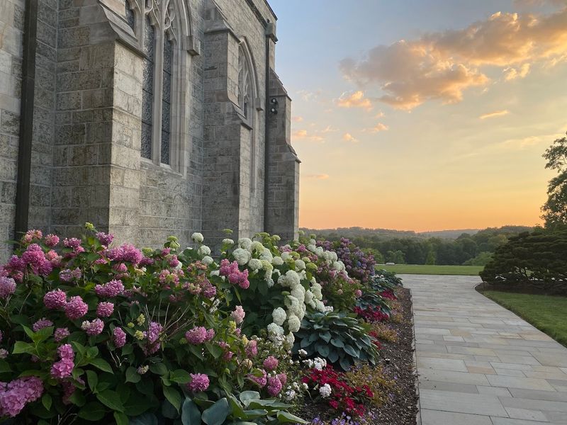 Spectacular Sunset Viewing Locations