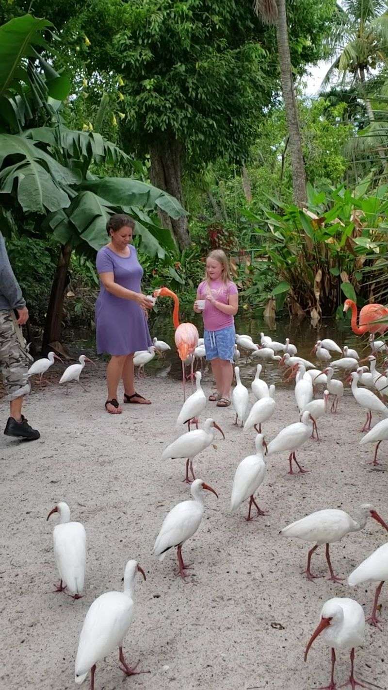 Everglades Wonder Gardens