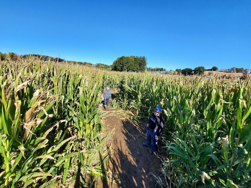 Grim&rsquo;s Orchard & Family Farms