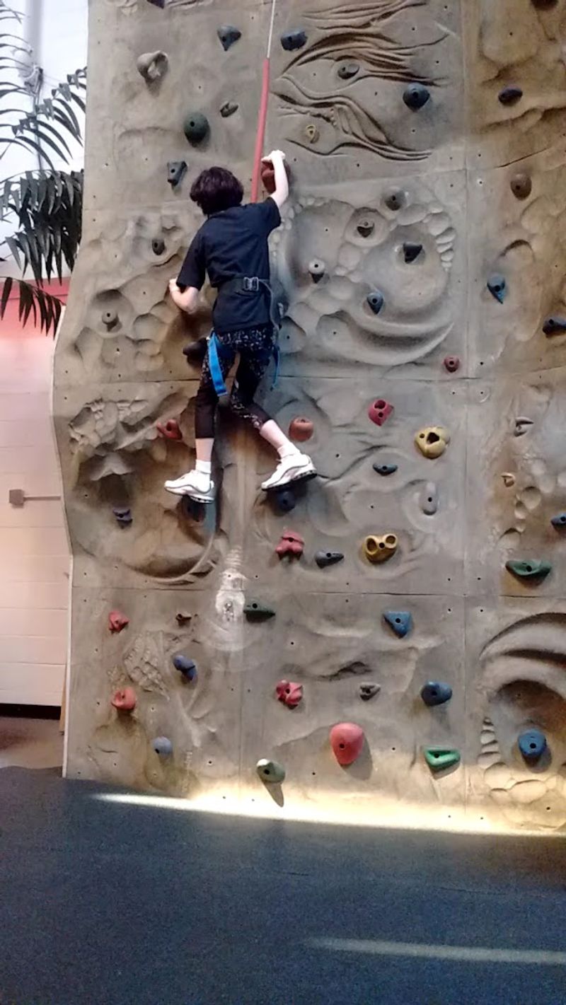 Adventurous Rock Climbing Wall