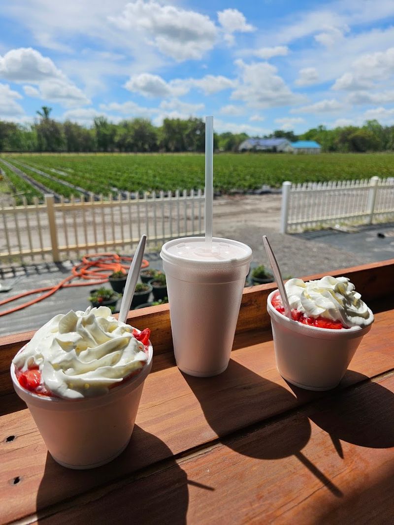 Creamy Strawberry Milkshakes Made With Real Fruit