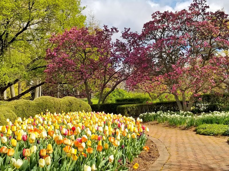Kingwood Center Gardens (Mansfield)