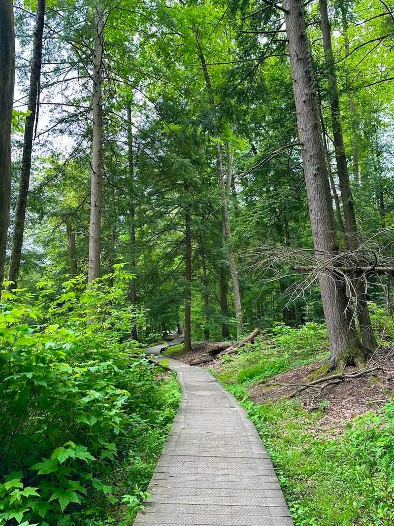 Mohican State Park