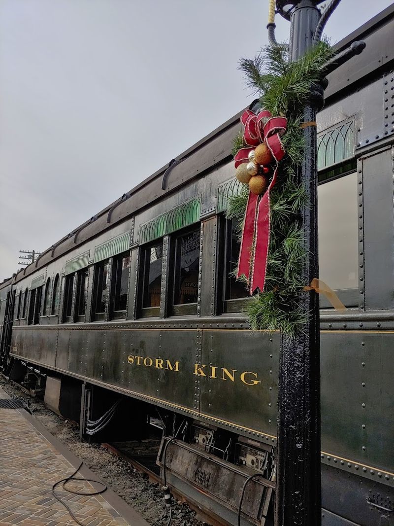 Themed Excursions That Keep Visitors Coming Back
