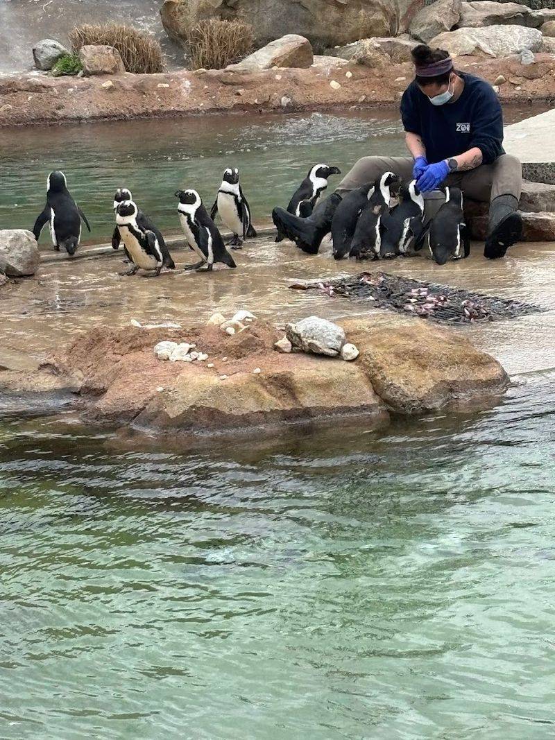 A Zoo With a Real Conservation Mission