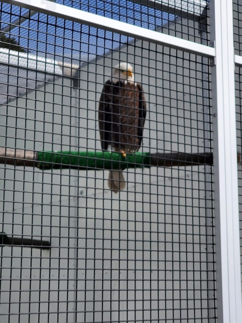 Outdoor Wildlife Habitats Add a Real Nature Stop