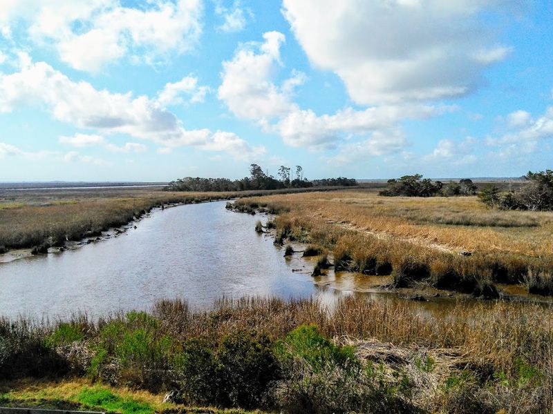 Darien &ndash; Altamaha Region