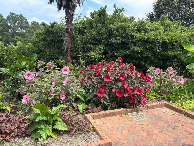 Daniel Stowe Botanical Garden (Belmont)