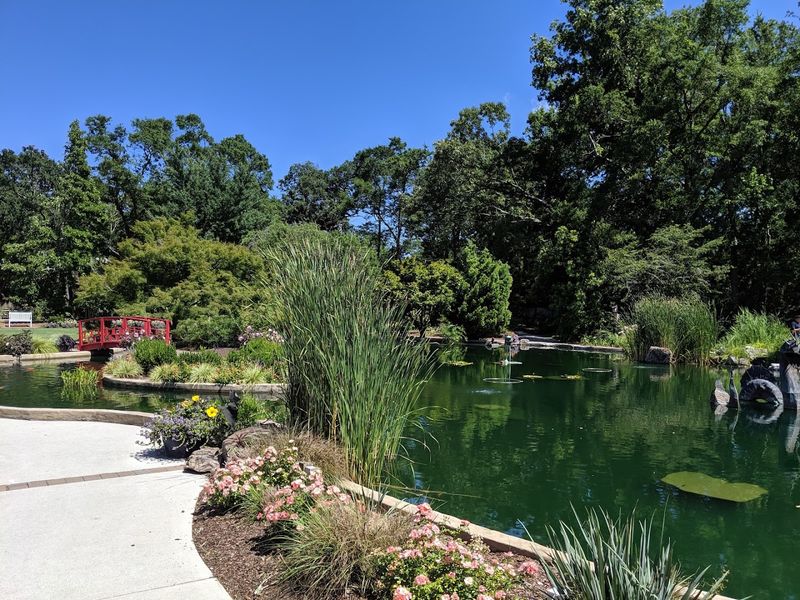 New Hanover County Arboretum - Wilmington