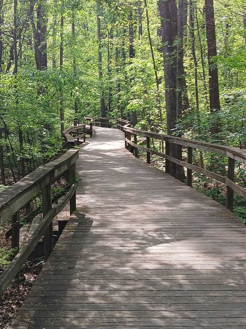 The Bog Garden at Benjamin Park (Greensboro)