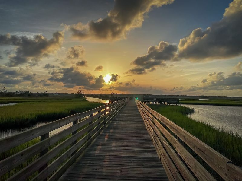 Protected Natural Areas Showcasing Florida's Wild Side
