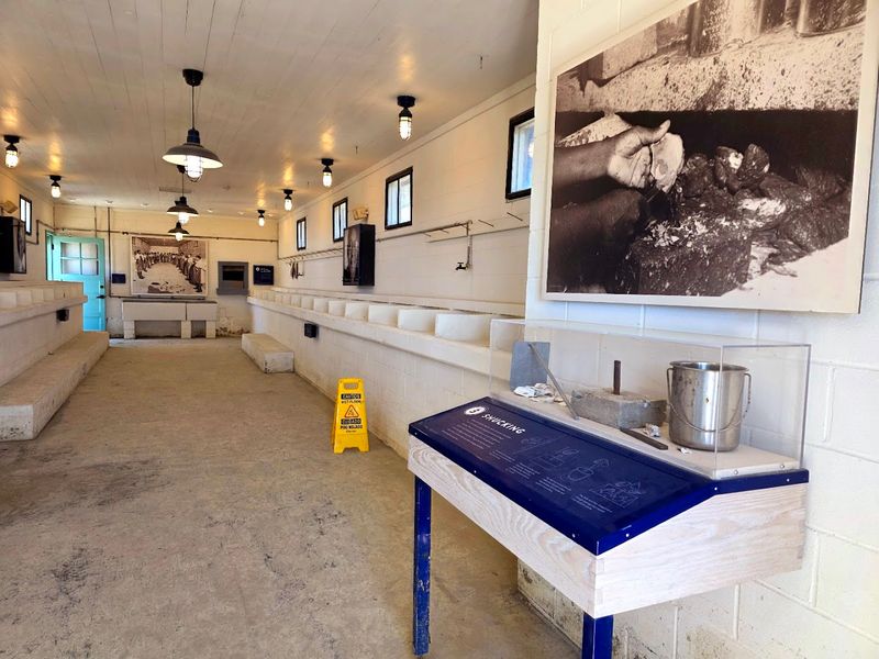 Pin Point Heritage Museum