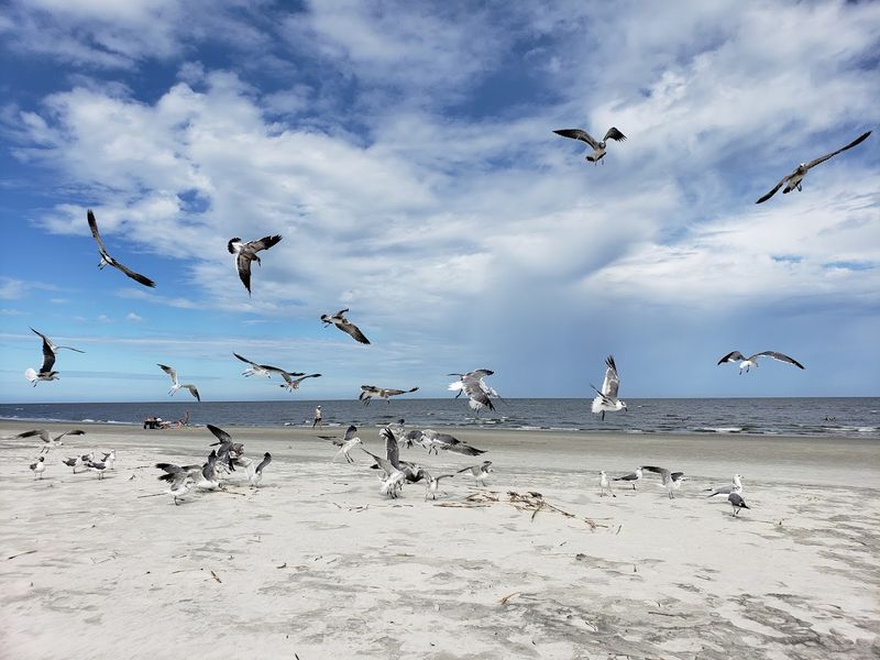 St. Simons Island East Beach