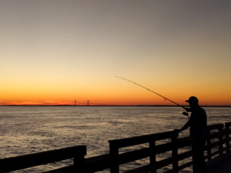 Island of St. Simons &ndash; Barrier Coast