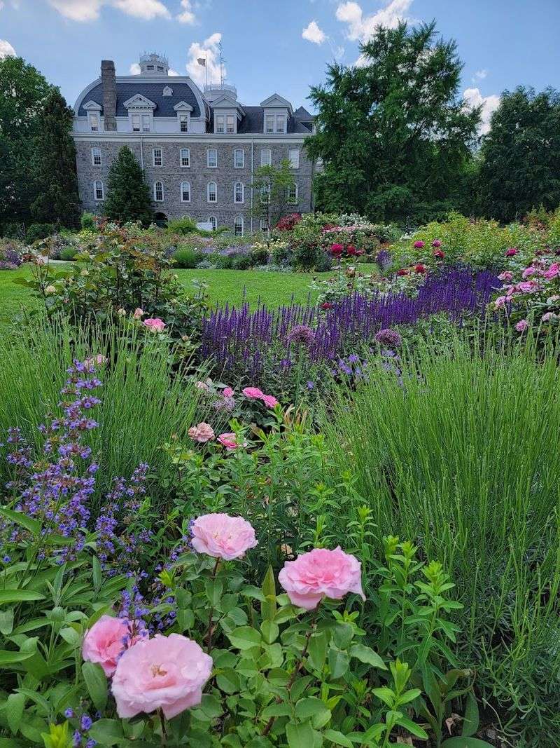 The Scott Arboretum of Swarthmore College (Swarthmore)
