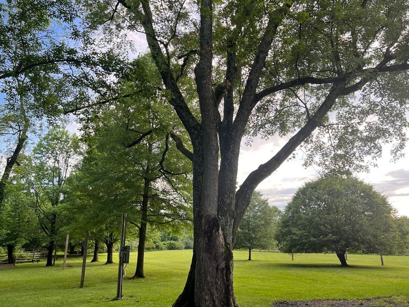 Chadds Ford & Brandywine Valley - Chadds Ford, Delaware County