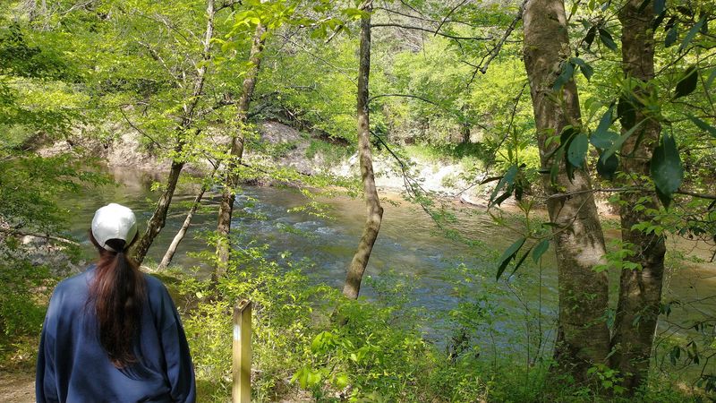 Medoc Mountain State Park