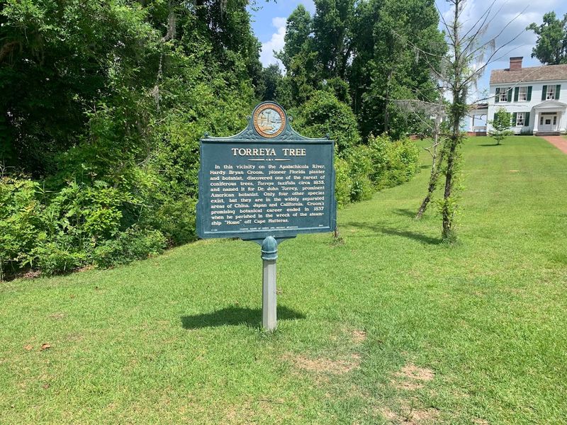 Torreya State Park &ndash; Scenic Bluffs & Forest Hikes (Best for Older Kids)