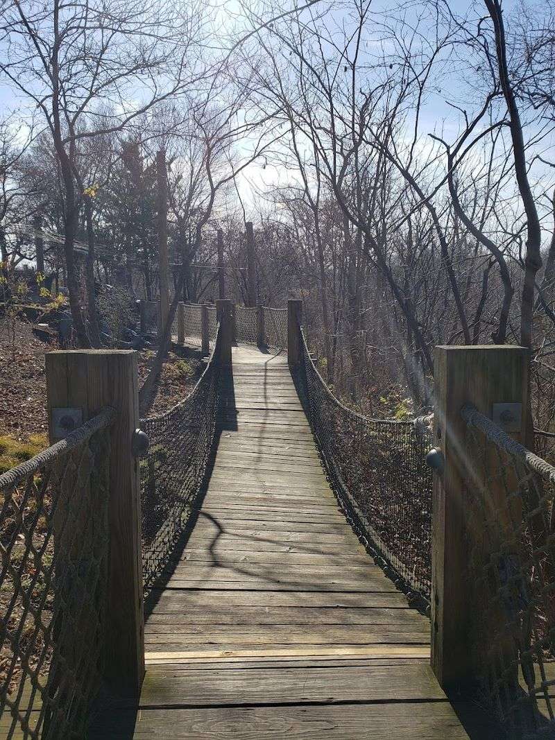Highfield Discovery Garden