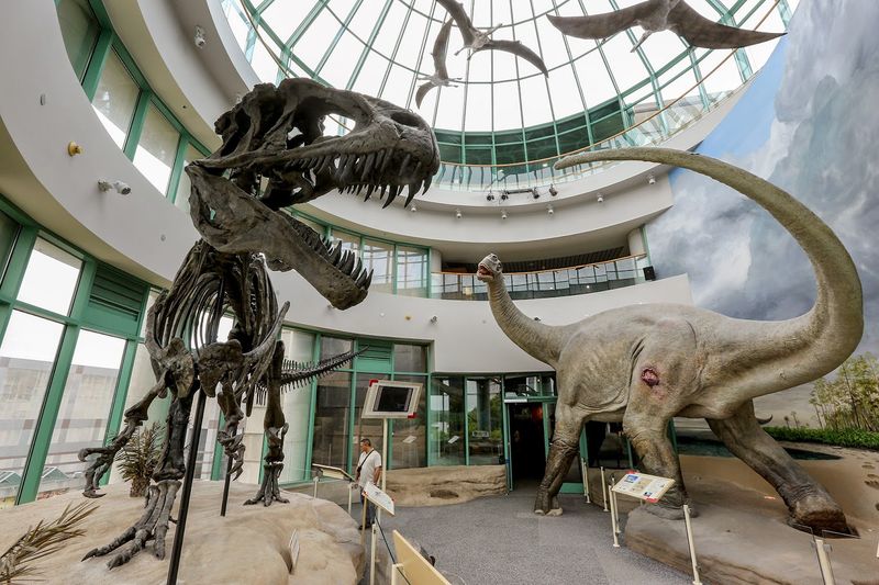 Explore Interactive Science Exhibits in Raleigh