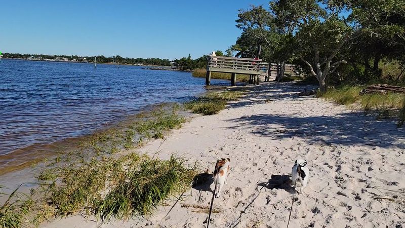 Carolina Beach State Park