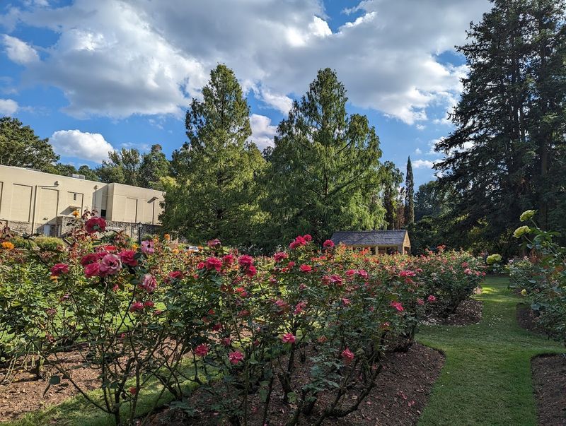 Raleigh Little Theatre Rose Garden (Raleigh)