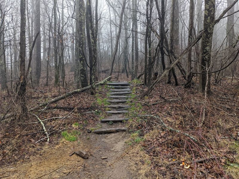 Craven Gap Trail to Bull Gap (Mountains to Sea Trail)