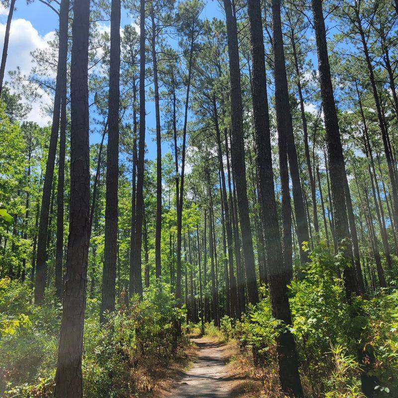 Goose Creek State Park