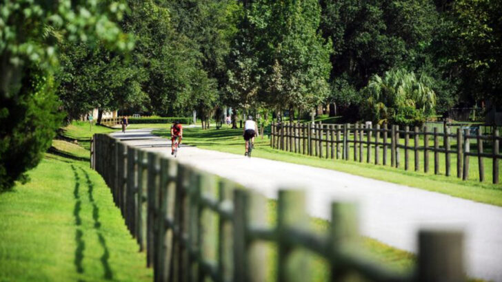 Just 90 Minutes From Orlando and Tampa, This Florida Spot Offers Wildlife and a Scenic 47-Mile Bike Trail