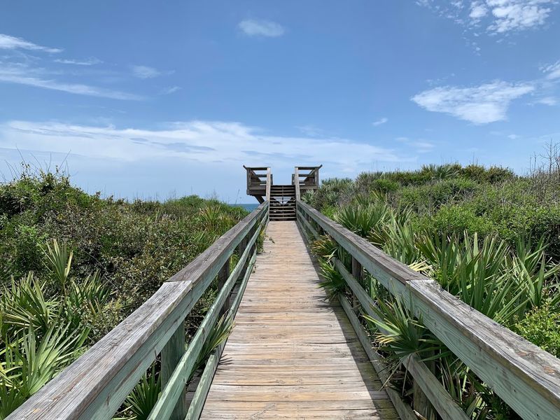Bird Watching Stations