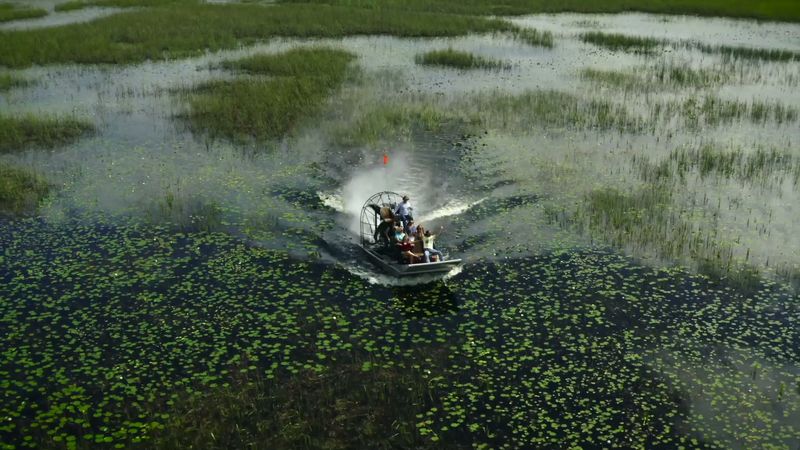 Airboat Tour in the Everglades