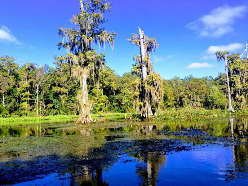Wakulla Springs State Park (Wakulla)