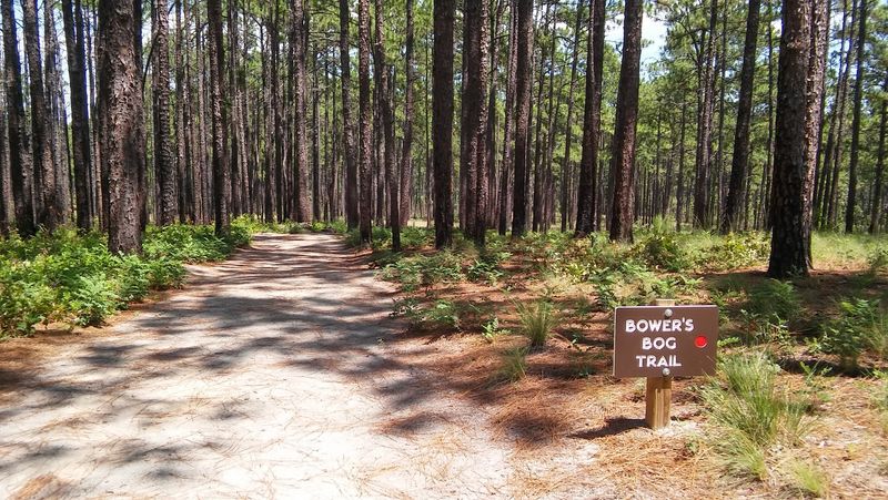Weymouth Woods-Sandhills Nature Preserve