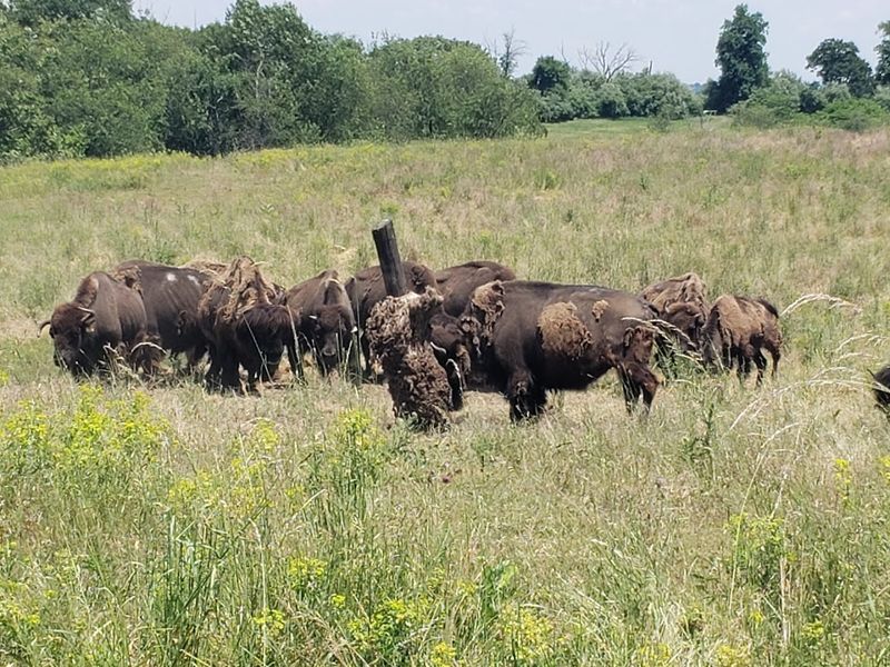 Explore More Nature Beyond the Zoo