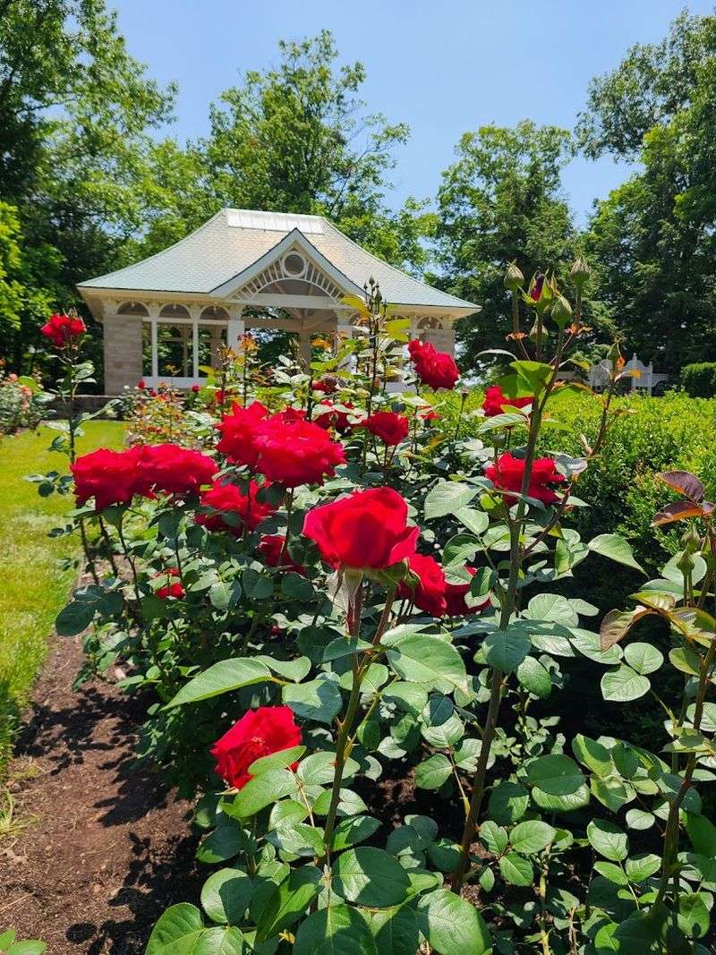 Fellows Riverside Gardens (Youngstown)