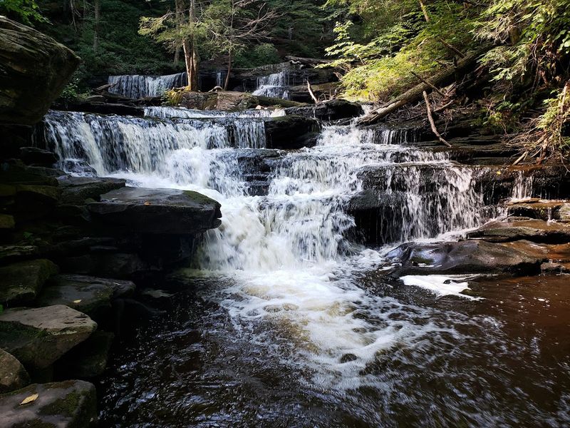 Ricketts Glen State Park