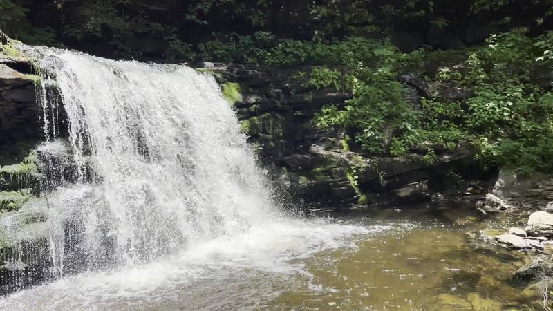 Ricketts Glen State Park - Benton, Columbia County