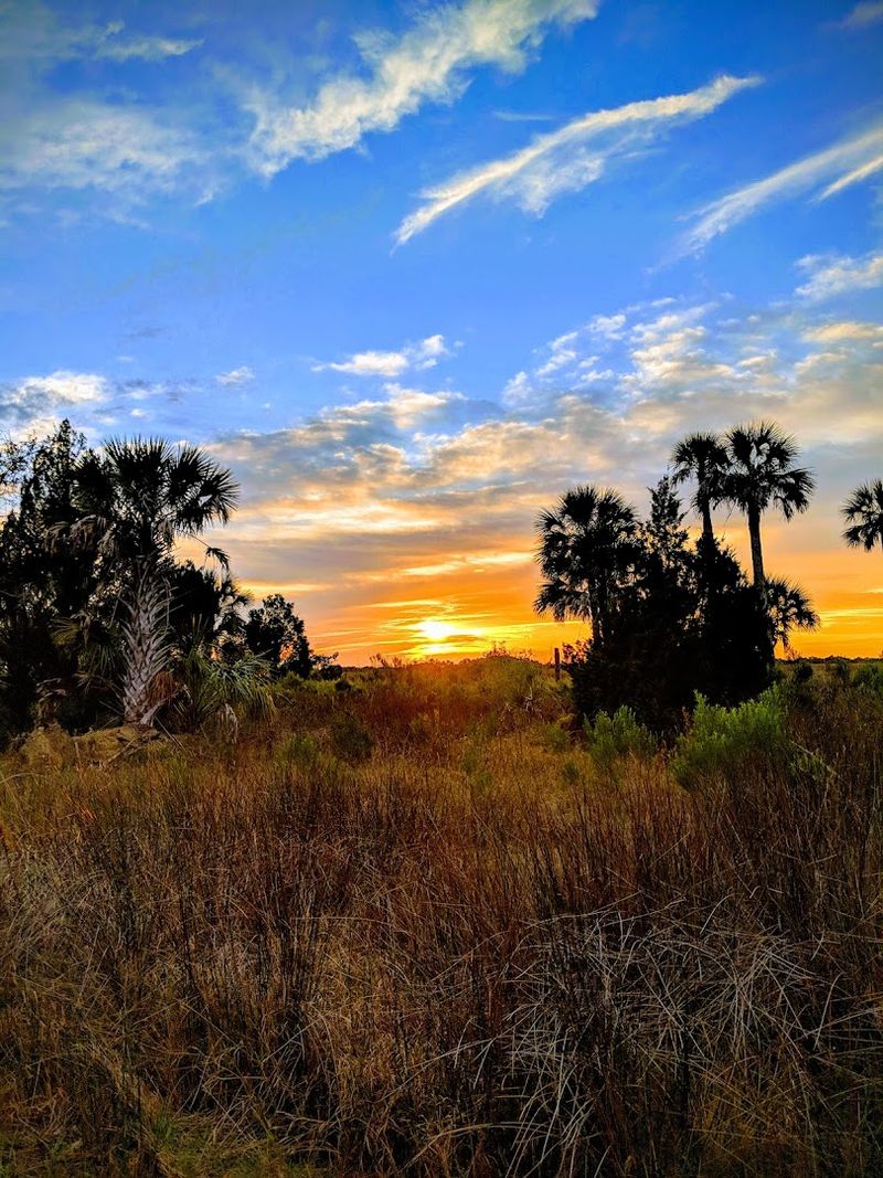 Werner-Boyce Salt Springs State Park