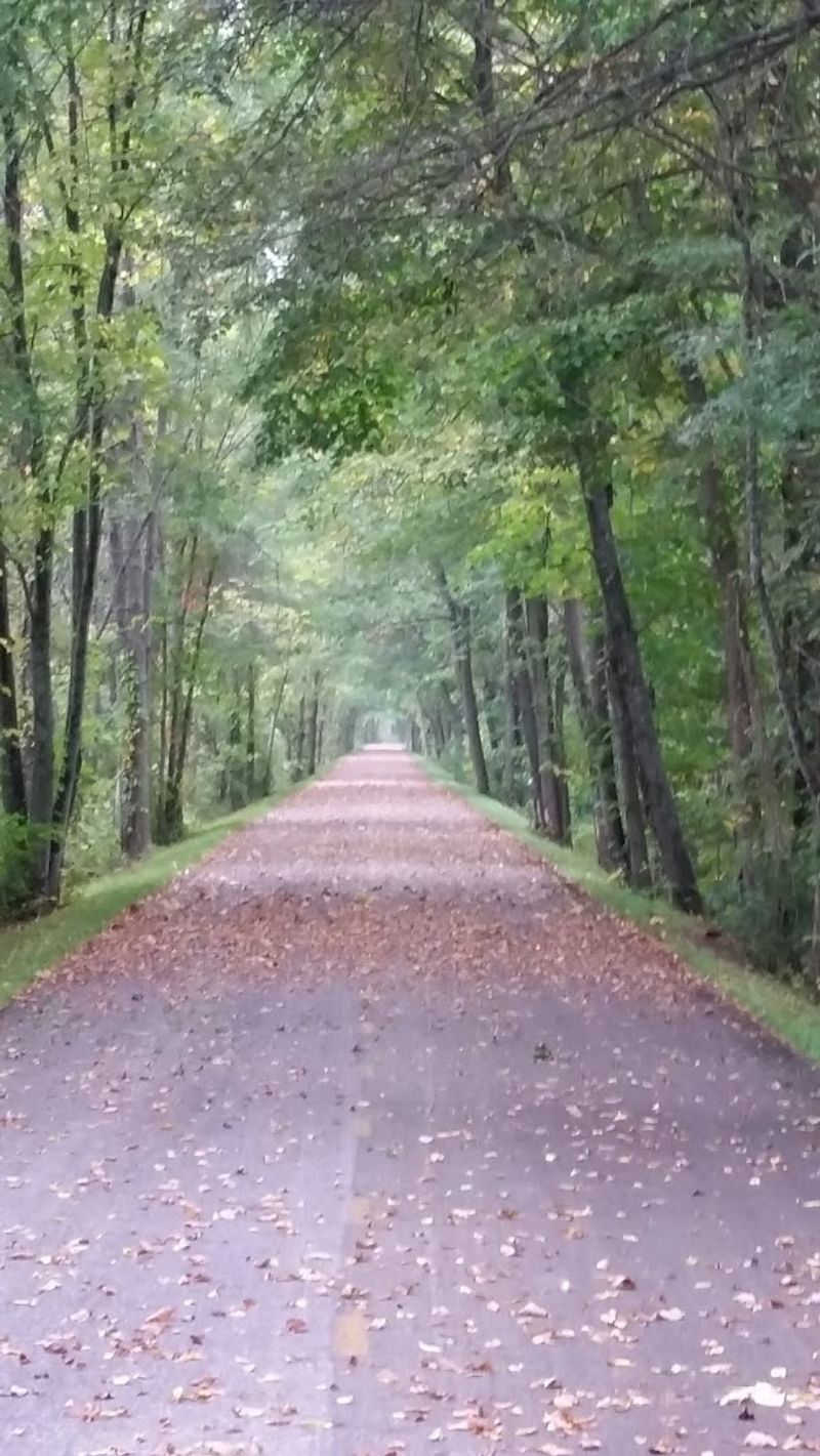 Holmes County Trail