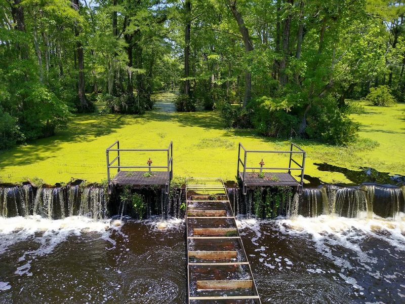 Merchants Millpond State Park
