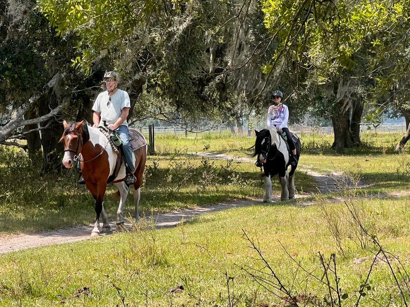 Myakka River Trail Rides &mdash; Myakka City, Florida